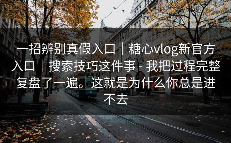 一招辨别真假入口｜糖心vlog新官方入口｜搜索技巧这件事 - 我把过程完整复盘了一遍。这就是为什么你总是进不去