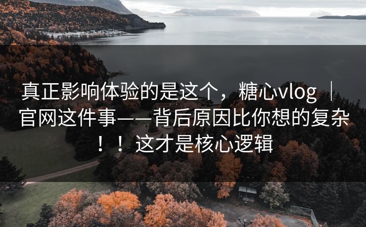 真正影响体验的是这个，糖心vlog ｜ 官网这件事——背后原因比你想的复杂！！这才是核心逻辑